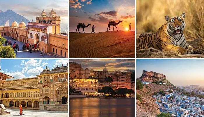 Top Reasons Why You Should Visit Rajasthan in February